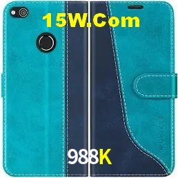 Sistemas de Segurança 988K
